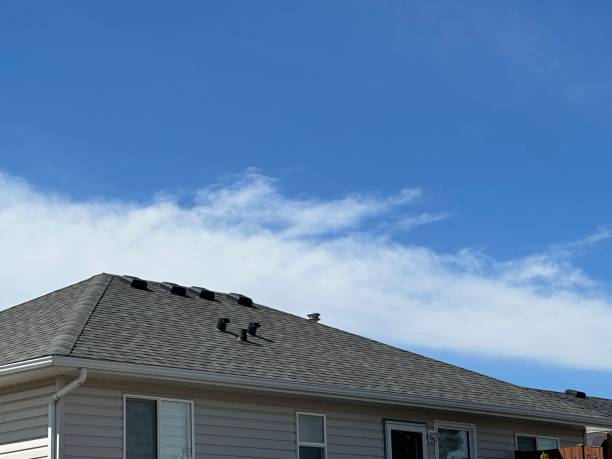 Trusted Jal, NM Roof Repair & Installaion Experts